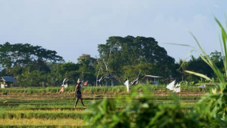 Panning-Shot-of-Field-Worker-Walking-