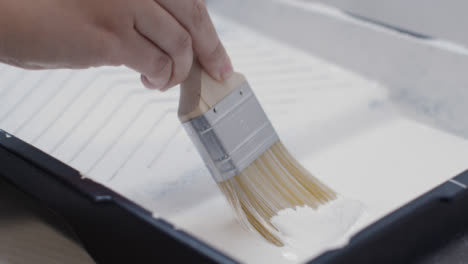 Close-Up-Shot-of-Person-Filling-Paint-Brush-with-White-Paint-from-Tray