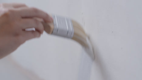 Close-Up-Shot-of-Person-Filling-Paint-Brush-with-White-Paint-from-Tray-and-Painting-Wall