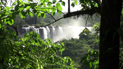 Iguaçu-Fällt-Brasilien-Umrahmt-Von-Einem-Ast-Tree