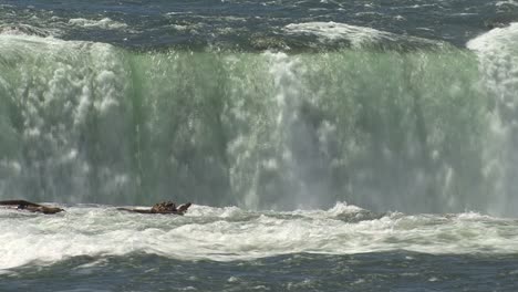 Canada-Niagara-Falls-detail-of-water