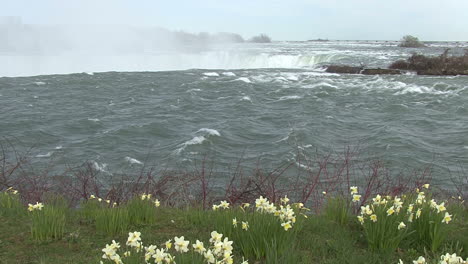 Kanada-Niagara-Wasserfälle-Mit-Blumen-Im-Vordergrund