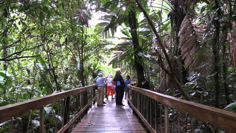 Costa-Rica-rainforest-board-walk-with-tourists