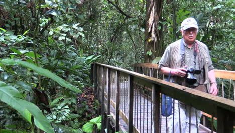 Costa-Rica-rainforest-boardwalk-with-man-model-released