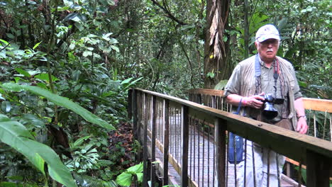 Paseo-Marítimo-De-La-Selva-Tropical-De-Costa-Rica-Con-Modelo-De-Hombre-Liberado