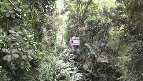 Costa-Rica-Selva-Tropical-Mirando-Hacia-Abajo-A-Los-Teleféricos