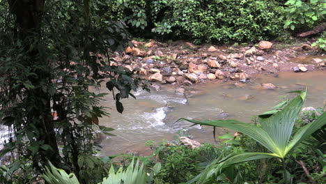 Costa-Rica-Regenwaldstromfor