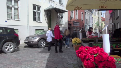 Tallinn-Estland-Touristen-Gehen-Am-Blumenstand-Vorbei
