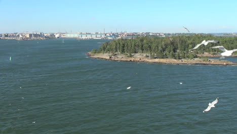 Helsinki-Finland-good-gulls