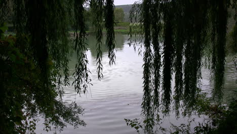 Francia-Río-Marne-Con-Sauces