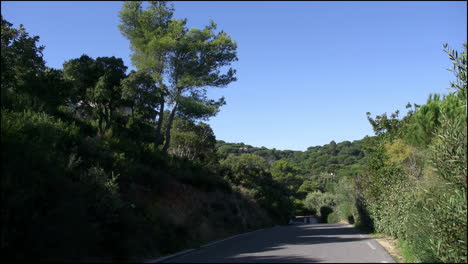 Frankreich-Provence-Landschaft-Mit-Kiefern