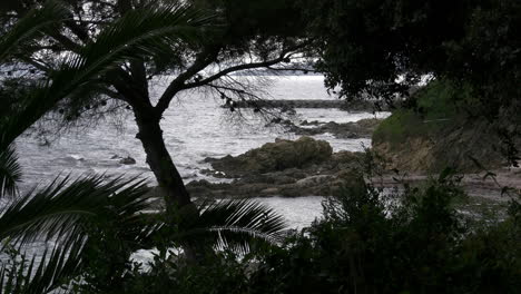 France-Riveria-coast-pine-frames-view