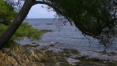 Frankreich-Riveria-Küste-Baum-Gerahmte-Ansicht