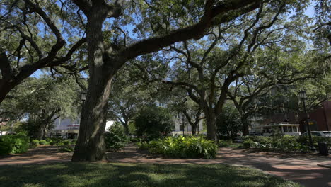 Savannah-Georgia-Oglethorpe-Square-Con-árboles