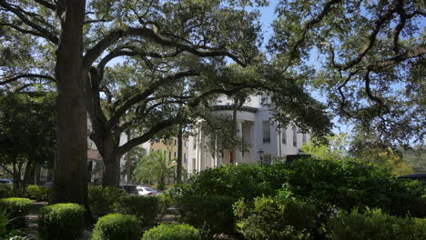 Savannah-Georgia-live-oaks-in-square