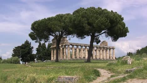 Italien-Paestum-Tempel-Der-Athena-Unter-Bäumen