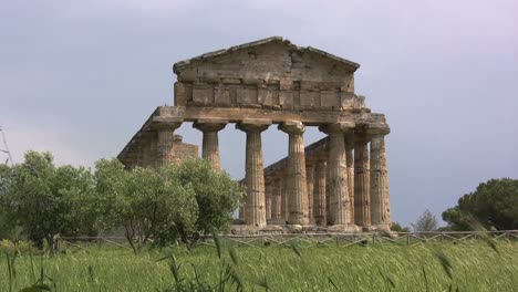 Italy-Paestum-Temple-of-Athena-with-blowing-grass
