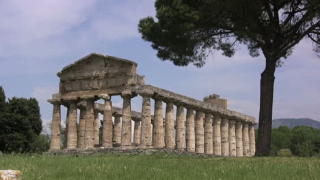 Italien-Paestum-Tempel-Der-Athena-Mit-Baum
