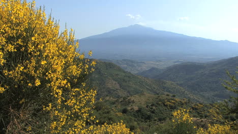 Sicilia-Etna-Y-Monte-Etna-Escoba-Genista-Aetnensis