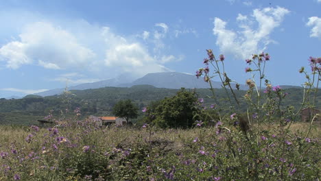 Sicilia-Etna-Y-Malezas