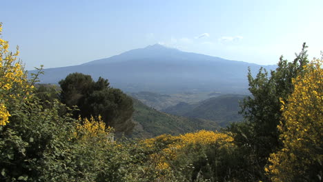 Sizilien-Ätna-und-Gelbe-Blumen