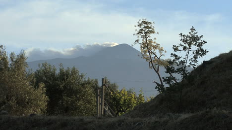 Sicily-trees-with-Etna-smoking