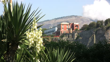 Italy-Sorrento--hotel-&-yucca