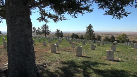 Little-Bighorn-Battlefield-National-Monument-Friedhof-und-Kiefer
