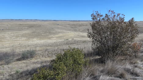 Little-Bighorn-Battlefield-National-Monument-view