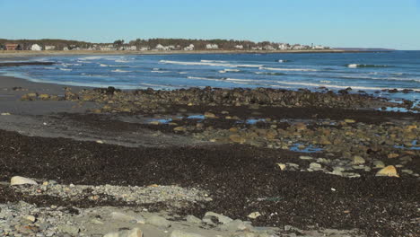 Rye-Harbor-State-Beach-New-Hampshire-with-sea-weed