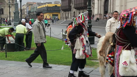 Festival-De-Lima-Peru-Ciudad-Central-Con-Una-Llama