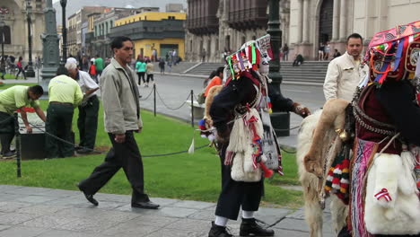 Lima-Peru-Festival-Innenstadt-Mit-Einem-Lama