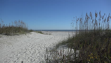 South-Carolina-Atlantikstrand-Mit-Strandhafer-und-Düne