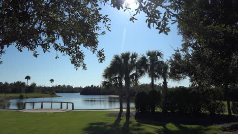 Lago-Y-Palmeras-Seabrook-De-Carolina-Del-Sur