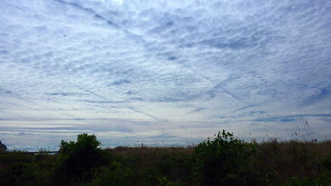 South-Carolina-Buttermilch-Himmel