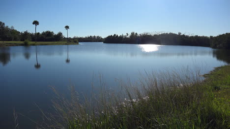 South-Carolina-palms-and-sunlight-on-a-lake