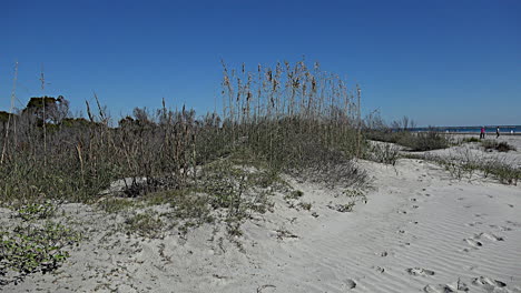 South-Carolina-people-stroll-on-a-beach-past-grass-on-a-sand-dune