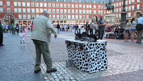 Madrid-Spain-man-and-talking-heads