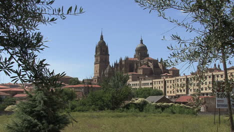 La-Catedral-De-Salamanca,-España,-En-La-Distancia