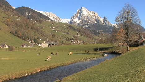 Suiza-Vaca-Caminando-En-El-Valle