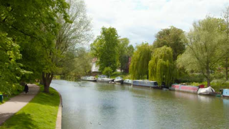 Tracking-Shot-Past-Bush-Revealing-Canal-Boats-Sitting-On-River-Cam