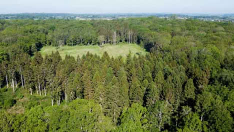 Drohnenschuss-Nähert-Sich-Einem-Wald