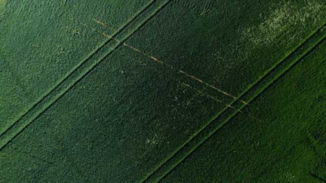 Disparo-De-Drone-Volando-Sobre-El-Campo-De-Tierras-De-Cultivo