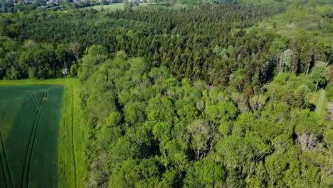 Drone-Shot-Approaching-Woodland