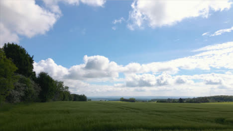 Drone-Shot-Rising-Up-from-Countryside-Field