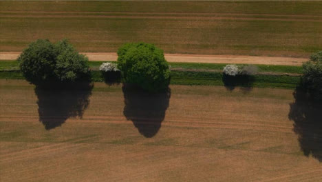 Drohnenschuss-Mit-Blick-Auf-Feldweg-Im-Landwirtschaftlichen-Bereich