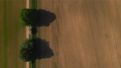 Drone-Shot-Looking-Down-On-a-Dirt-Road-In-Agricultural-Field