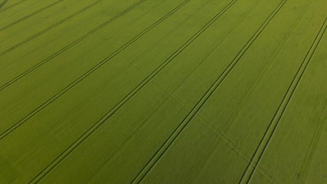 Drone-Shot-Passing-Over-Countryside-Agricultural-Field-