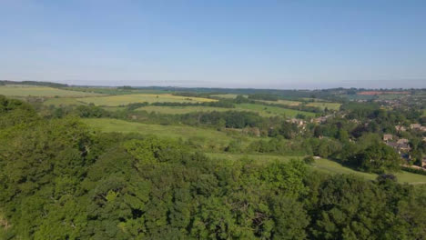 Drone-Shot-Flying-Over-Small-Tree-Line-In-Countryside