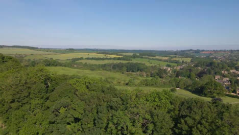 Drohnenschuss-Fliegt-über-Kleine-Baumgrenze-In-Landschaft